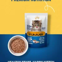 پت شاپ تدی|لوازم جانبی حیوانات|هشتگرد, فاز ۱ مهستان|دیوار