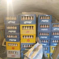 جعبه نوشابه پپسی کار کرده