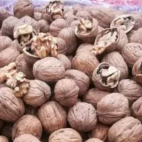 گردو  خشک درجه ۱ تویسرکان