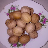 فروش گردو