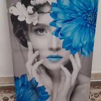 تابلو بوم مخملی