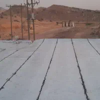 ایزگام عمدی و جزئی