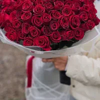 انواع دسته گل رز هلندی شاخه ۵۰ هزار