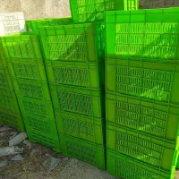 فروش سبد میوه