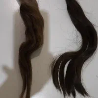 مو طبیعی|آرایشگاه و سالنهای زیبایی|پاکدشت, پاکدشت (مامازند)|دیوار