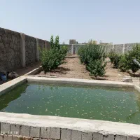 فروش باغ روستای هویه|فروش خانه و ویلا|ابریشم, |دیوار