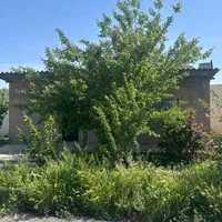 زمین۲۰۰متر(سندتکبرگ)سهیلیه.زعفرانیه.اقبالیه|فروش زمین و ملک کلنگی|کرج, مهرویلا جنوبی|دیوار