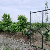 باغ ۲۰۰۰متری با درختان مثمر و آب و فنس