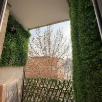 57متر/گل طبقات/سند تک برگ/تراورتن/رو به نما