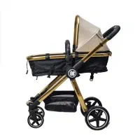 کالسکه و کریر گراکو و آغوشی چیکو