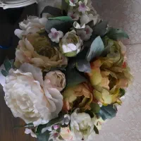 استخدام حسابدار