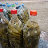 خیار شور بطری150000|خوردنی و آشامیدنی|تهران, سعادت‌آباد|دیوار