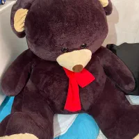 خرس بزرگ در حد نو