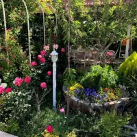 تشریفات مجالس شادی شما