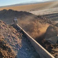 کود گاوی وخاک باغچه نیسانی،کامیونی|خدمات باغبانی و درختکاری|تنکمان, |دیوار