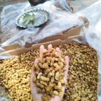 توت ،برگه زردآلو وآلو و لواشک خونگی وعسل  ارگانیک