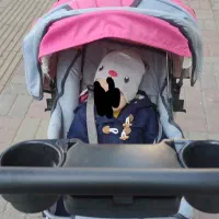 سرویس کالسکه روروئک دلیجان به همراه صندلی غذا|کالسکه و لوازم جانبی|رشت, شهرک قدس|دیوار