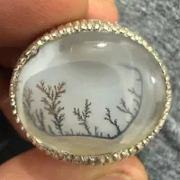 شجر منظره ای