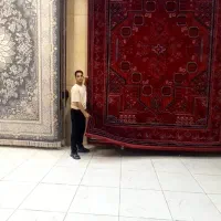 فرش درختی لاکی جدید حراج سر فصل ۵۰٪مدت یک هفته