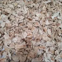 نان خشک نون خشک