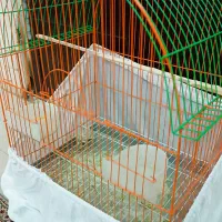 قفس نونو با لوازم