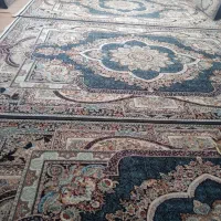 فرش سرمه ای|فرش|سبزوار, باهنر|دیوار