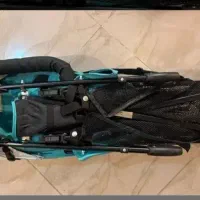 کالسکه عصایی