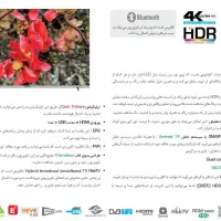 تلویزیون سونیا اقساطی بازنشستگان و باجت|تلویزیون و پروژکتور|محمدشهر, محمدشهر|دیوار