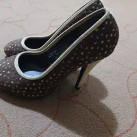 کیف و کفش مجلسی|کیف، کفش، کمربند|رشت, حومه رشت|دیوار