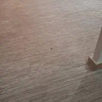 اجاره آپارتمان مسکن مهر شاکری طبقه دو مهندسی|اجارهٔ آپارتمان|دوگنبدان, |دیوار