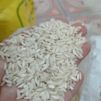 برنج عنبر بو شوشتر