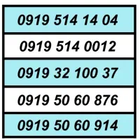 09195060914|سیم‌کارت|تهران, استاد معین|دیوار