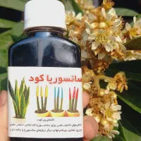 کود تقویتی گل آپارتمانی و قیم پتوس، خاک مخلوط
