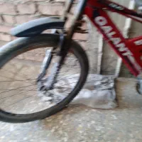 دوچرخه|دوچرخه، اسکیت، اسکوتر|زرند, |دیوار