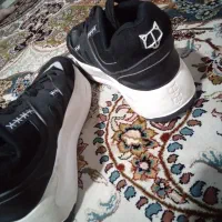 کتونی وولف ویتنام|کیف، کفش، کمربند|گرمدره, |دیوار