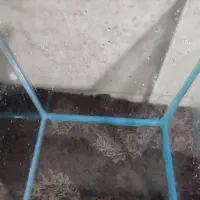 آکواریم و وسایل جانبی آکواریم|ماهی|اراک, |دیوار