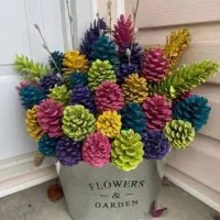 کاج  رنگی قابل سفارش در هر تعداد و رنگ