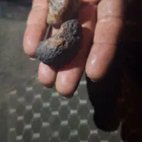 شهاب سنگ|کلکسیون اشیاء عتیقه|میناب, |دیوار