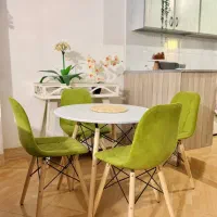 میزو صندلی ناهارخوری زیرقیمت(شکار)