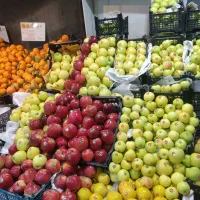 میوه فروشی با درآمد بالا|اجارهٔ مغازه و غرفه|شیروان (خراسان), |دیوار