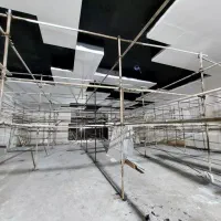 رنگ کاری رنگکار امیزی نقاشی ساختمان سوله نماایرلس