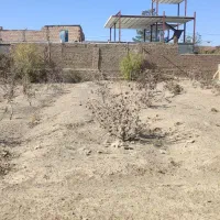 «فروش یک قطعه زمین خاص برای افراد خاص»|فروش زمین و ملک کلنگی|سبزوار, ایزی شهر|دیوار