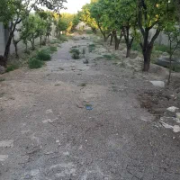 باغ ۷۶۰ متری درختان مثمر۱۰ ساله بلوار توس توس ۱۴۱|فروش خانه و ویلا|مشهد, دوست آباد|دیوار