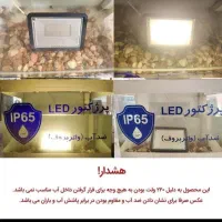 پرژکتور ۵۰ وات شاه چراغ باگارانتی ۲ساله **|لامپ و چراغ|یزد, |دیوار