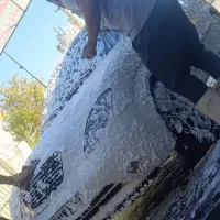 تیبا ۲-۴۰۱|خودرو سواری و وانت|ایلام, |دیوار