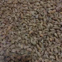 کشمش،مویز|خوردنی و آشامیدنی|رباط‌کریم, شهرک والفجر|دیوار