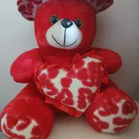 خرس سالم سالم|اسباب‌بازی بچه|اشترینان, |دیوار