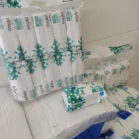 دستمال کاغذی|مواد شوینده و دستمال کاغذی|کاشمر, |دیوار