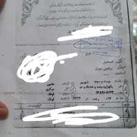 کارت ملی وکارت پایان خدمت اسماعیل براهویی مهریار