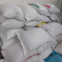 تریتکاله بذر  امریکایی اوکراینی|خدمات باغبانی و درختکاری|گنبد کاووس, |دیوار